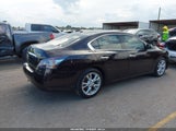 Nissan Maxima 3.5 Sv 1N4AA5AP4EC438834 снимка