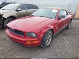Ford Mustang 1ZVHT84NX95119928 снимка