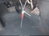 Miniaturka zdjęcia 11