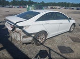 Hyundai Sonata Gls 5NPEB4ACXDH626616 снимка