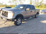 Ford F-150 Fx4/King Ranch/Lariat/Platinum/Xl/Xlt 1FTPW14V49FA44750 fotografie