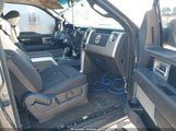 Ford F-150 Fx4/King Ranch/Lariat/Platinum/Xl/Xlt 1FTPW14V49FA44750 fotografie