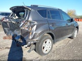 Toyota Rav4 Le JTMBFREV4EJ005445 fotografie