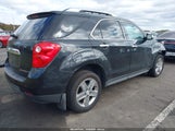 Miniaturka zdjęcia 4