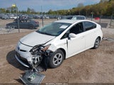 Miniaturka zdjęcia 2