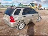 Miniaturka zdjęcia 4