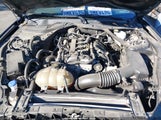 Ford Mustang Ecoboost Premium 1FATP8UH1M5116488 снимка