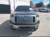 Ford F-150 Fx4/Harley-Davidson/King Ranch/Lariat/Platinum/Xl/Xlt 1FTFW1EV4AFA87791 fotografie