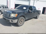 Ford F-150 Fx4/Harley-Davidson/King Ranch/Lariat/Platinum/Xl/Xlt 1FTFW1EV4AFA87791 fotografie