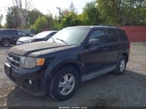 Ford Escape Xlt 1FMCU0D77AKC16373 снимка