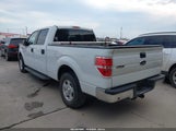 Ford F-150 Fx2 Sport/Xl/Xlt 1FTEW1C88AKC00108 снимка