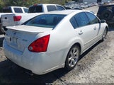 Nissan Maxima 3.5 Se 1N4BA41E78C828036 снимка