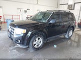 Ford Escape Xlt 1FMCU0DG6BKA07692 снимка
