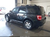 Ford Escape Xlt 1FMCU0DG6BKA07692 fotografie