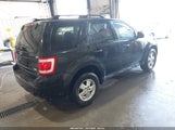Ford Escape Xlt 1FMCU0DG6BKA07692 fotografie
