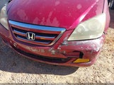 Honda Odyssey Ex-L 5FNRL38626B443270 снимка