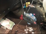 Miniaturka zdjęcia 11