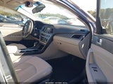 Hyundai Sonata Eco 5NPE24AA8FH126925 снимка