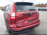 Honda Cr-V Lx 5J6RE4H31AL004258 photo