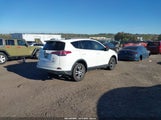Toyota Rav4 Le JTMBFREV0GJ073129 снимка