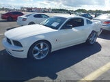 Ford Mustang Gt Deluxe/Gt Premium 1ZVHT82H255233669 photo