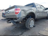 Ford F-150 Fx4/Harley-Davidson/King Ranch/Lariat/Platinum/Xl/Xlt 1FTFW1EV3AFA13990 photo