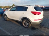 Miniaturka zdjęcia 3