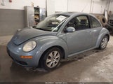Volkswagen New Beetle S 3VWRG31C78M502118 photo