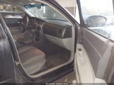 Dodge Charger 2B3KA43G87H607759 fotografie