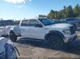 Ford F-150 Fx4/Harley-Davidson/King Ranch/Lariat/Platinum/Xl/Xlt 1FTFW1EV3AKC34481 снимка