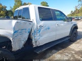 Ford F-150 Fx4/Harley-Davidson/King Ranch/Lariat/Platinum/Xl/Xlt 1FTFW1EV3AKC34481 fotografie
