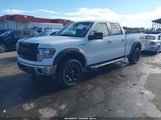 Ford F-150 Fx4/Harley-Davidson/King Ranch/Lariat/Platinum/Xl/Xlt 1FTFW1EV3AKC34481 снимка