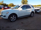 Mercedes-Benz Ml 350 4Matic 4JGBB8GB2AA602270 fotografie