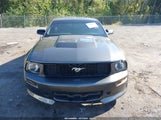 Ford Mustang V6 1ZVFT80N365133114 снимка