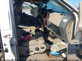 Miniaturka zdjęcia 5