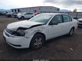Chevrolet Malibu Ls 1G1ZT54865F216508 photo
