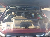 Miniaturka zdjęcia 10
