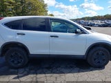 Honda Cr-V Lx 5J6RM4H37FL105766 photo