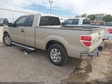Ford F-150 Fx2 Sport/Stx/Xl/Xlt 1FTEX1C89AKE69537 fotografie