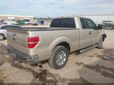 Ford F-150 Fx2 Sport/Stx/Xl/Xlt 1FTEX1C89AKE69537 fotografie