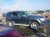 Ford Escape Xlt 1FMCU03729KB19952 снимка