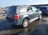 Ford Escape Xlt 1FMCU03729KB19952 снимка