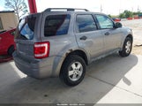 Ford Escape Xlt 1FMCU93188KB76834 снимка