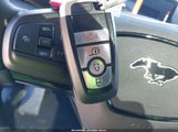 Ford Mustang Mach-E Premium 3FMTK3R73PMA65808 снимка