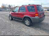 Ford Escape Xlt 1FMYU931X5KB15339 снимка