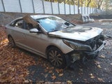 Hyundai Sonata Sport 5NPE34AF3FH067694 photo