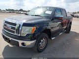 Ford F-150 Fx4/King Ranch/Lariat/Platinum/Xl/Xlt 1FTPW14V39FA33027 photo