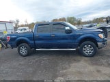 Ford F-150 Xlt 1FTFW1EF1DFB40556 снимка