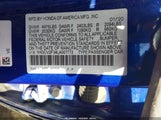 Miniaturka zdjęcia 9