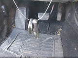 Ford Fusion Se 3FA6P0H7XHR184890 снимка